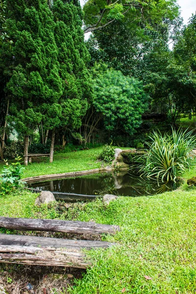 Malý Rybníček Parku Thajsko — Stock fotografie