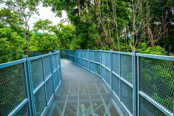 Tayland 'ın Chiangmai şehrindeki paraşüt yolu..