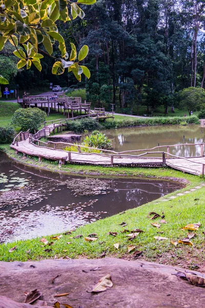 Landschaft Des Naturparks Thailand — Stockfoto