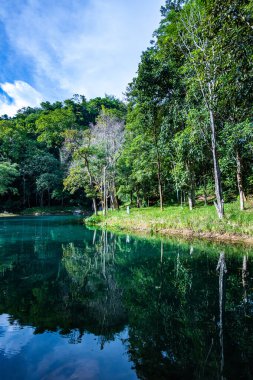 Tham Luang 'daki zümrüt havuz - Khun Nam Nang Orman Parkı, Chiang Rai.