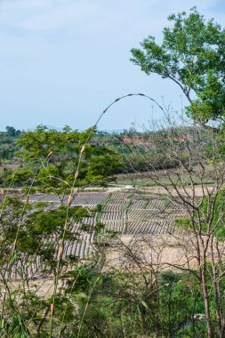 Chiang Rai, Tayland 'daki Mae Khachan manzarası.