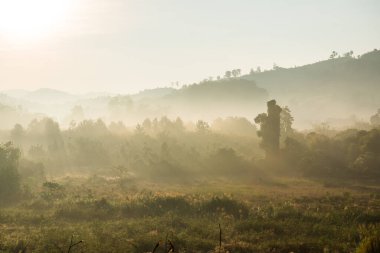 Phu Langka Ulusal Parkı, Tayland Güzel Dağ Manzarası.