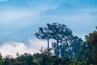 Phu Langka Ulusal Parkı, Tayland Güzel Dağ Manzarası.