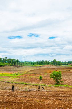 Tayland 'ın Chiangmai eyaletinde doğal manzara.