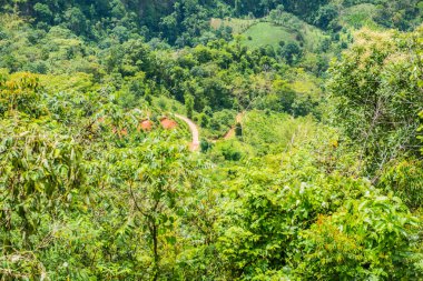Tayland 'ın Chiangmai bölgesindeki dağ manzarası..