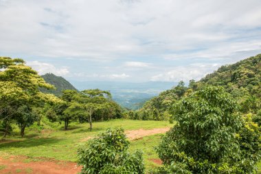 Tayland 'ın Chiangmai bölgesindeki dağ manzarası..