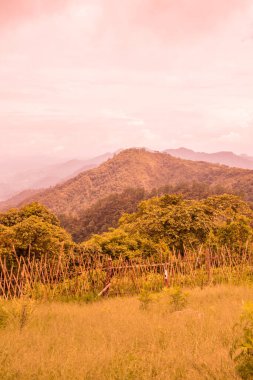 Tayland 'ın Chiangmai bölgesindeki dağ manzarası..