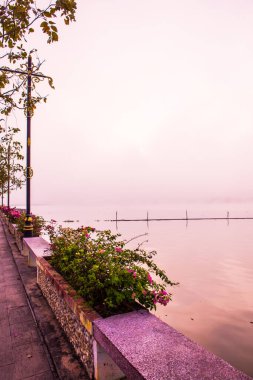 Kwan Phayao Gölü kış mevsiminde, Tayland.