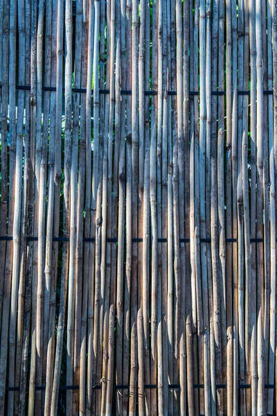 Bamboo Background Sunlight Evening Time Thailand — Stock Photo, Image