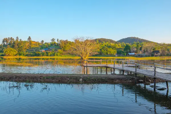 Árvore Lago Com Luz Solar Tailândia — Fotografia de Stock