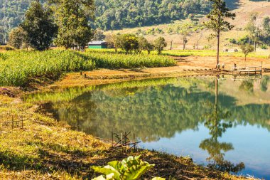 Tayland 'ın Chiangmai eyaletinde göl manzarası.