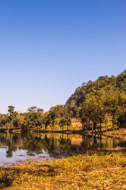 Tayland 'ın Chiangmai eyaletinde göl manzarası.