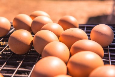 Tayland usulü ızgara yumurta, Tayland.