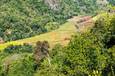 Tayland 'ın Chiangmai bölgesindeki dağların görüş açısı.