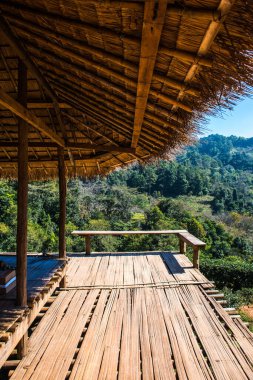 Manzara Görünümü Çay Çiftliği 2000, Tayland.