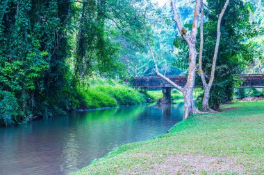 Phu Sang Ulusal Parkı, Tayland manzarası.