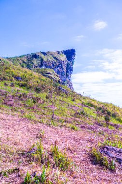 Chiangrai Eyaleti, Tayland Phu Chi Fa Manzara Noktası