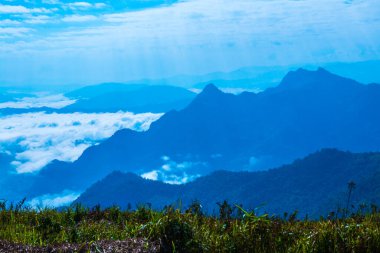 Chiangrai Eyaleti, Tayland 'daki Phu Chi Fa Manzara Noktasında Sis Denizi.