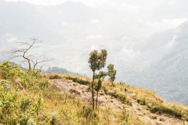 Chiangrai Eyaleti, Tayland Phu Chi Fa Manzara Noktası.