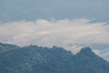 Tayland 'ın Chiangrai eyaletindeki Phu Chi Fa Manzarası' nda Dağ Manzarası.