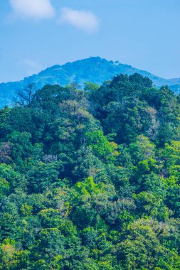 Tayland 'ın Chiangrai eyaletindeki Phu Chi Fa Manzarası' nda Dağ Manzarası.