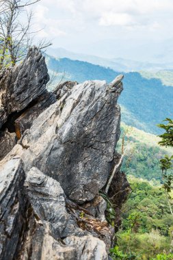 Chiangrai, Tayland 'da Doi Pha Tang' da Manzara Noktası.