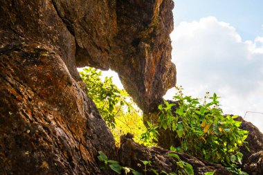 Chiangrai, Tayland 'da Doi Pha Tang' da Manzara Noktası.