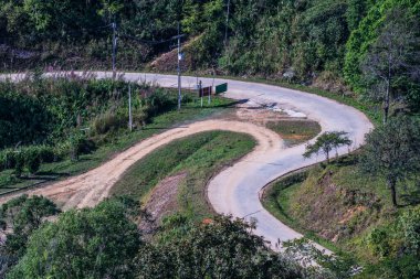 Chiangrai, Tayland 'da Doi Pha Tang yolu..