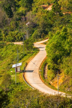 Chiangrai, Tayland 'da Doi Pha Tang yolu..