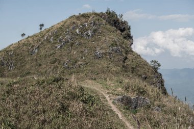 Tayland 'ın Chiangrai eyaletindeki Doi Pha Tang' da Dağ Manzarası.