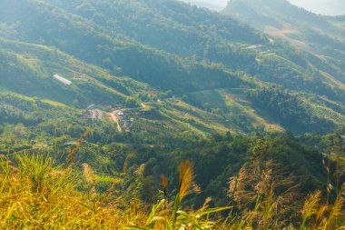 Tayland 'ın Chiangrai eyaletindeki Doi Pha Tang' da Dağ Manzarası.