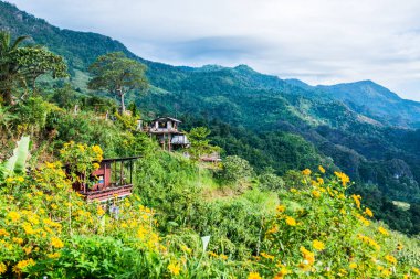 Phu Langka Ulusal Parkı, Tayland Güzel Dağ Manzarası.