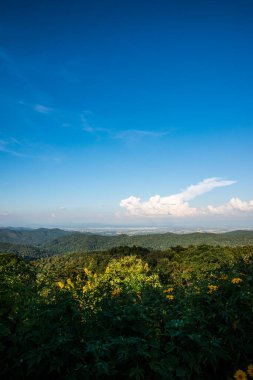 Kwan Phayao Gölü, Tayland.