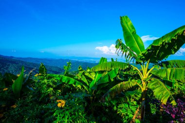 Kwan Phayao Gölü, Tayland.