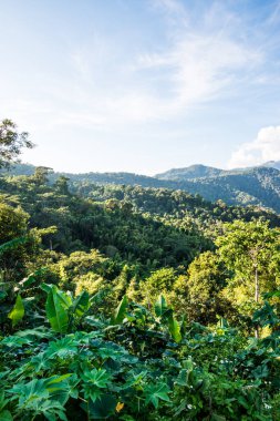 Tayland 'ın Phayao eyaletinde dağ manzarası.