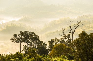 Phu Langka Ulusal Parkı, Tayland Güzel Dağ Manzarası.