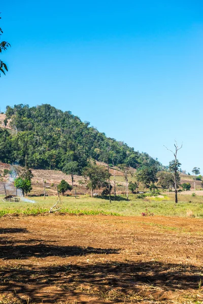 Tayland 'ın Chiangmai eyaletinde Moiuntain manzarası.