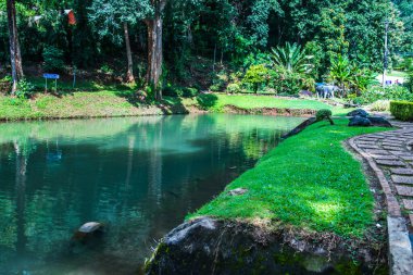 Tayland, Samoeng bölgesinde halka açık bir park..