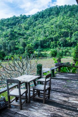 Tayland 'ın Chiangmai şehrinde Tayland tarzı teras..