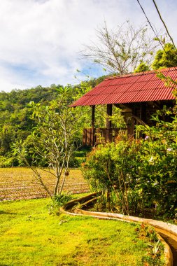 Tayland 'ın Chiangmai şehrinde bir ev..