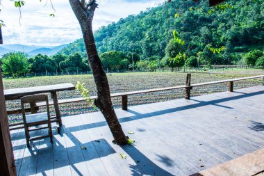 Tayland 'ın Chiangmai şehrinde Tayland tarzı teras..