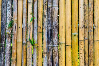 Bambu çit arka planı, Tayland.