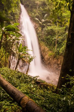 Khunkorn Şelalesi, Tayland, Chiang Rai bölgesinde..