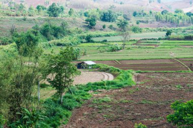 Chiang Rai Eyaleti, Tayland Doğal Manzarası.