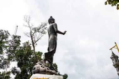 Phra 'da ayakta duran güzel Buda Phu Khao tapınağı, Tayland.