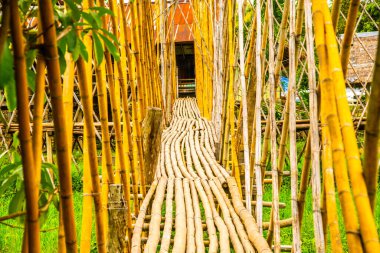 Tayland 'da pirinç tarlası olan küçük bir köprü..