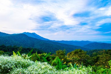Kwan Phayao 'nun Tayland' daki dağ manzarası.