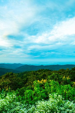 Kwan Phayao 'nun Tayland' daki dağ manzarası.