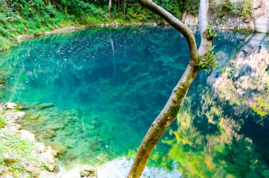 Lom Phu Khew ya da Tham Phatai Ulusal Parkı 'ndaki Mavi Göl, Lampang Eyaleti.