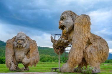 CHIANG MAI, THAILAND - 20 Haziran 2023: Chiang Mai 'nin Mae Rim ilçesindeki Huay Tueng Thao' daki pirinç tarlasında King Kong saman heykelleri.